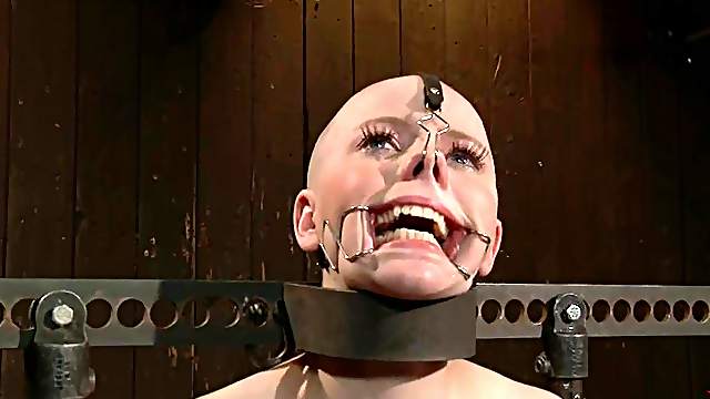 Blonde girl gets her head shaved and tortured