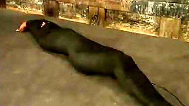 Submissive Veronika gets toyed and then wrapped