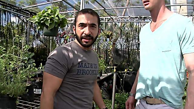 A bearded queer blows and gets fucked in a greenhouse