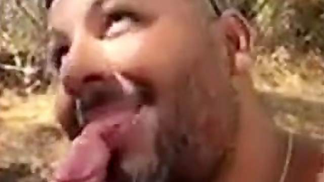 Bear sucks gay bear and man eats hot sperm