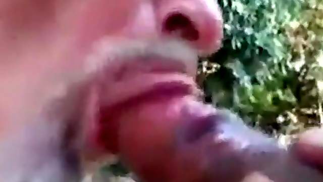 Je suce une grosse bite charnue dans la forêt