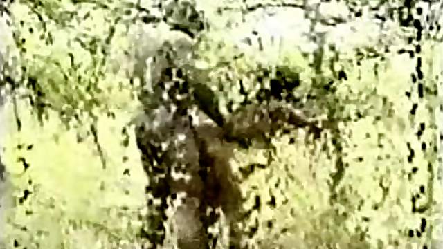 Real African sex stories