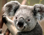 akhmil_hakim's Avatar