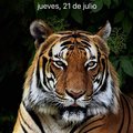 Alejandro Salcedo's Avatar