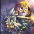 feic3522's Avatar
