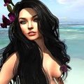 paulacrivelli's Avatar