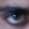 Djura Mrki
