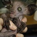 Claude Menard's Avatar