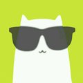 ljy19962008's Avatar