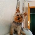Paco Tomillo's Avatar