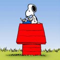 Alberto C.'s Avatar