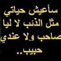 AlI altaee's Avatar