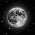 L406080's Avatar