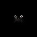 ALEX's Avatar