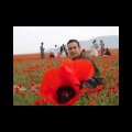farhad atbari's Avatar