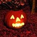 RANDY Alaman's Avatar