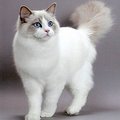 Sergeyy's Avatar