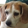 dGeorge R's Avatar