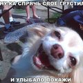vladimir Brom's Avatar
