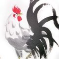 John Krammer's Avatar
