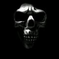 KILJOY88's Avatar