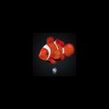 pllpoo011's Avatar