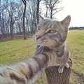 granny_hunter's Avatar