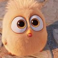 samzxc's Avatar