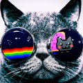 DALIRTOK's Avatar
