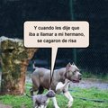 pijicas1974's Avatar