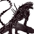 ratoli-menut's Avatar