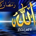 adel almasry's Avatar