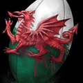 DamienB35's Avatar