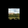 Adam6's Avatar