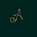 Ashish Nisarta's Avatar