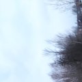 tomek połaniec's Avatar