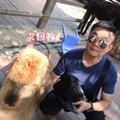 How Wei Leong's Avatar