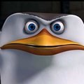 HobokenZoo's Avatar