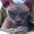 Jevgenij R's Avatar