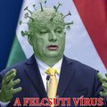 Laciba's Avatar