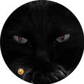 BetSheDoes's Avatar