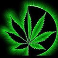 yourlvbroker's Avatar