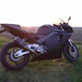 Zten's Avatar