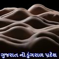 Shakshi's Avatar