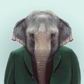 clearfox255's Avatar