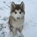 buniacyc's Avatar