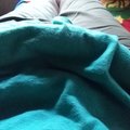 nimesh55's Avatar