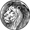 ldm524's Avatar