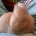 Bisex's Avatar