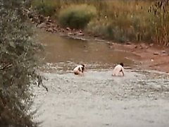 Renee Zellweger Swimming in The Creek